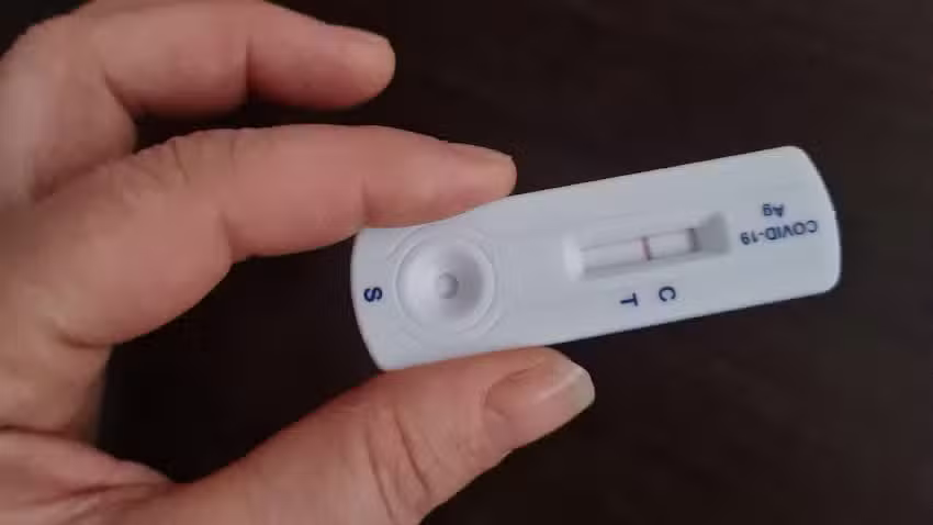 Landesteststelle Schneider Bau