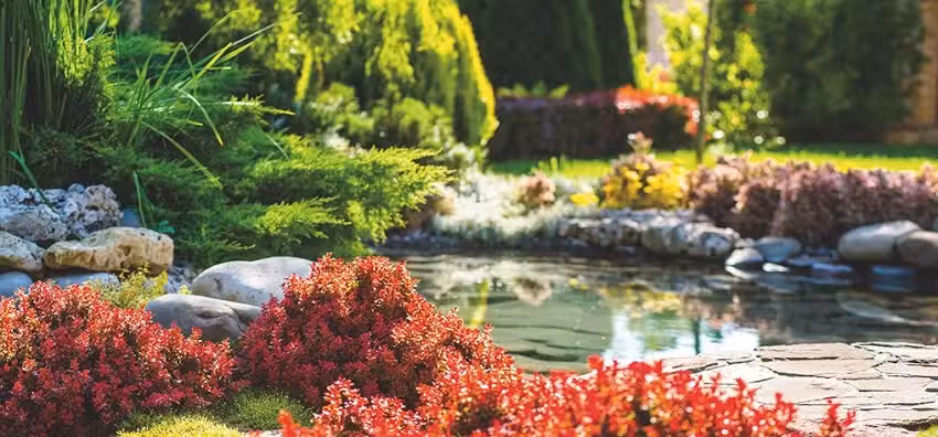 Landschaftsbau Schneider GmbH & Co.KG