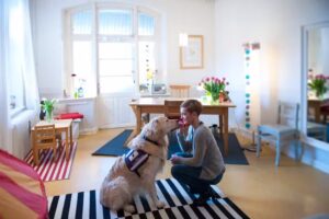 Logopädische Praxis Ariane Schneider