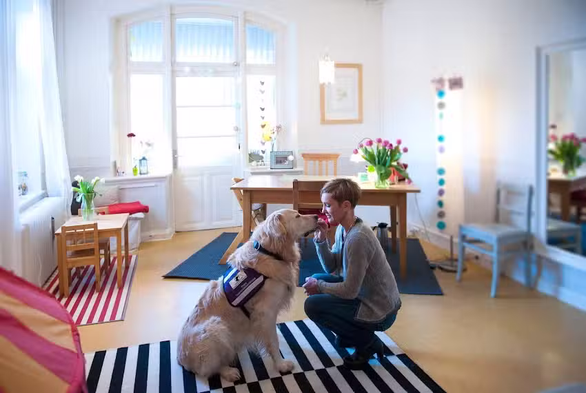 Logop&auml;dische Praxis Ariane Schneider