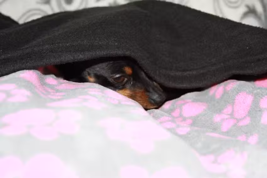 Manuela Jorgas Produktion und Handel innovativer Produkte