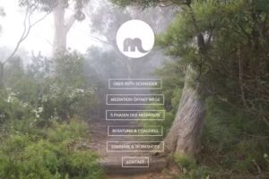 Mediation Bonn Ruth Schneider