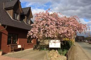 Modeatelier Zurwellen