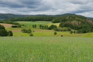 Nispel & Schneider GbR