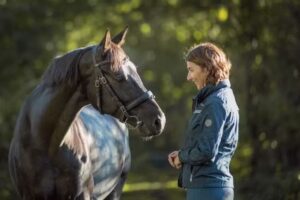 Pferdedecken-Waschservice Niki Wardakas