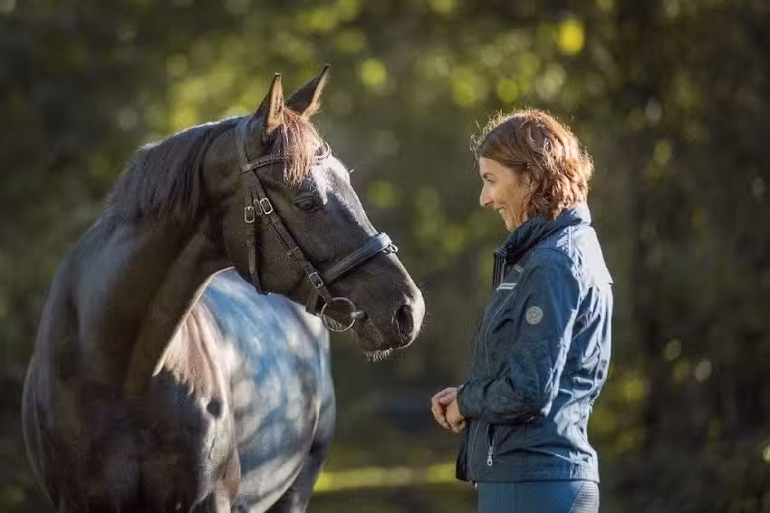 Pferdedecken-Waschservice Niki Wardakas
