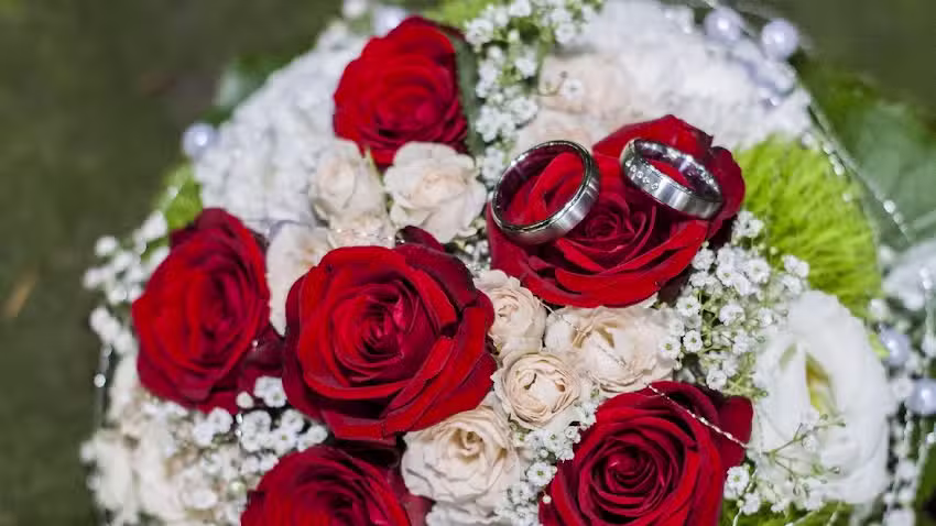 PhotoSchneiderGraphie Hochzeits- und Eventfotografie UG (Haftungsbeschr&auml;nkt)