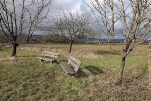 Ruhebank Nieder-Erlenbach „Obsthof Schneider“