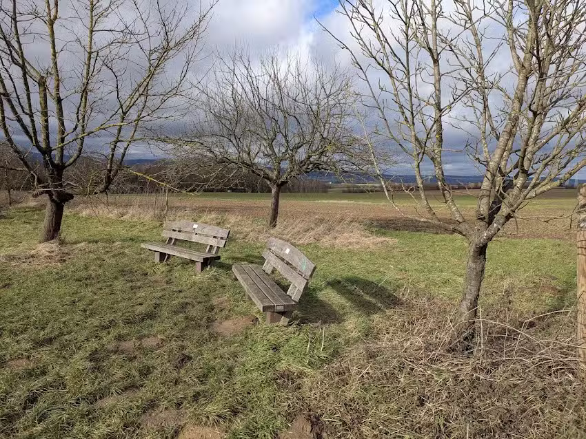 Ruhebank Nieder-Erlenbach &bdquo;Obsthof Schneider&ldquo;