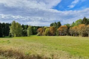 S&auml;gewerk Schneider GmbH