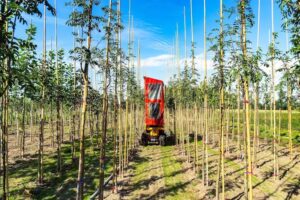 Schachtschneider GbR