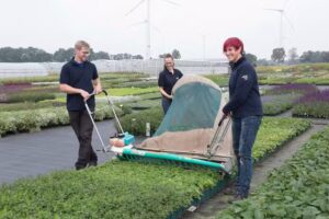 Schachtschneider Stauden und Marketing GbR &ndash; kein Privatverkauf &ndash;