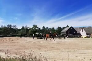 Schneider Andreas Reiterhof