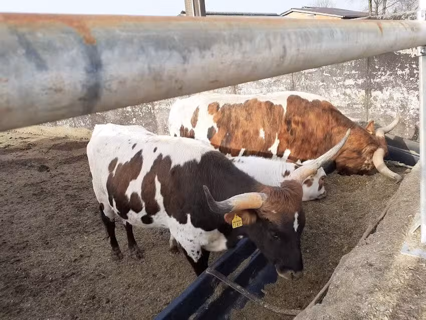 Schneider Landwirtschaft GbR (Friedrichshof)