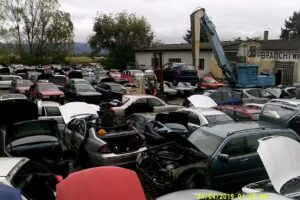 Schneider & Malessa e.K.