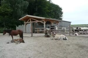 Schrankenschneiderhof