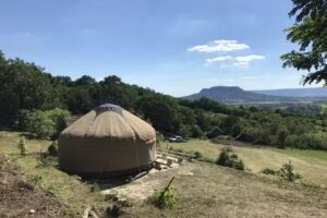 The Red Tent Company