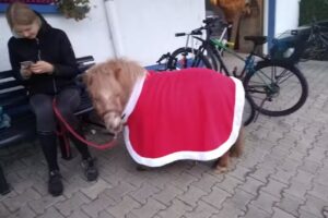 Tierarztpraxis Hannah Schneider