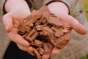 Weingut Georg Albrecht Schneider