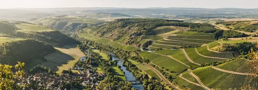 Weingut Jakob Schneider