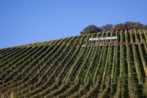 Weingut K.H. Schneider