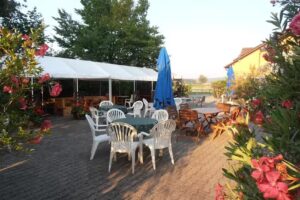 Weingut Nettelbeck – Jutta Schneider