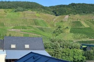 Weinhaus Burg-Schneider