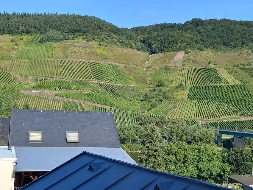 Weinhaus Burg-Schneider