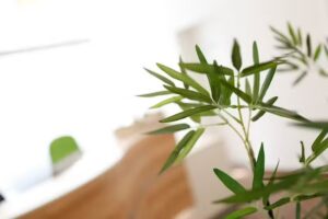 Zahn&auml;rzte Fulda &ndash; Dr. Matthias Schneider & Dr. Anne L&ouml;ffler